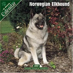 Norwegian Elkhound Calendar