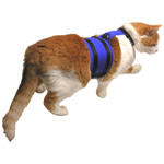 WalkingJacket For Cats Structured