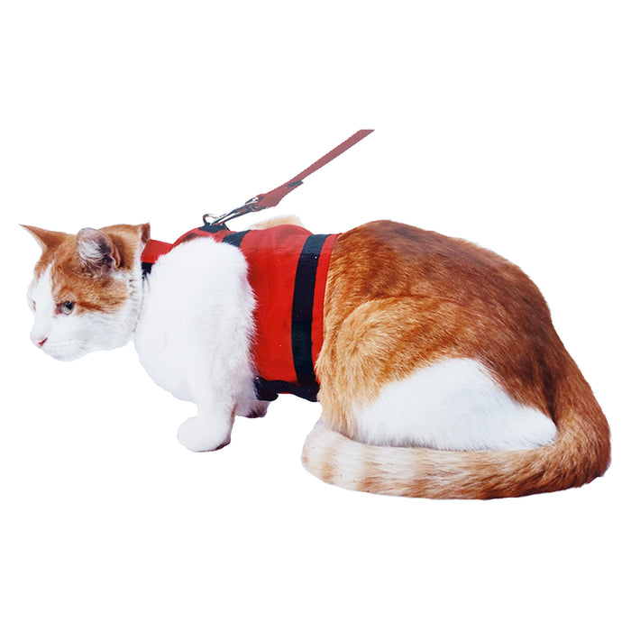 WalkingJacket