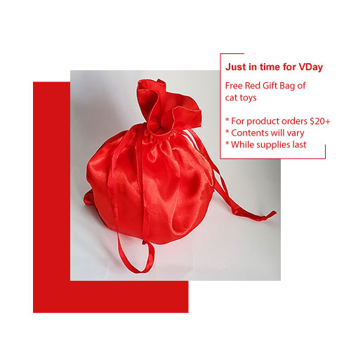 VDay Red Gift Bag